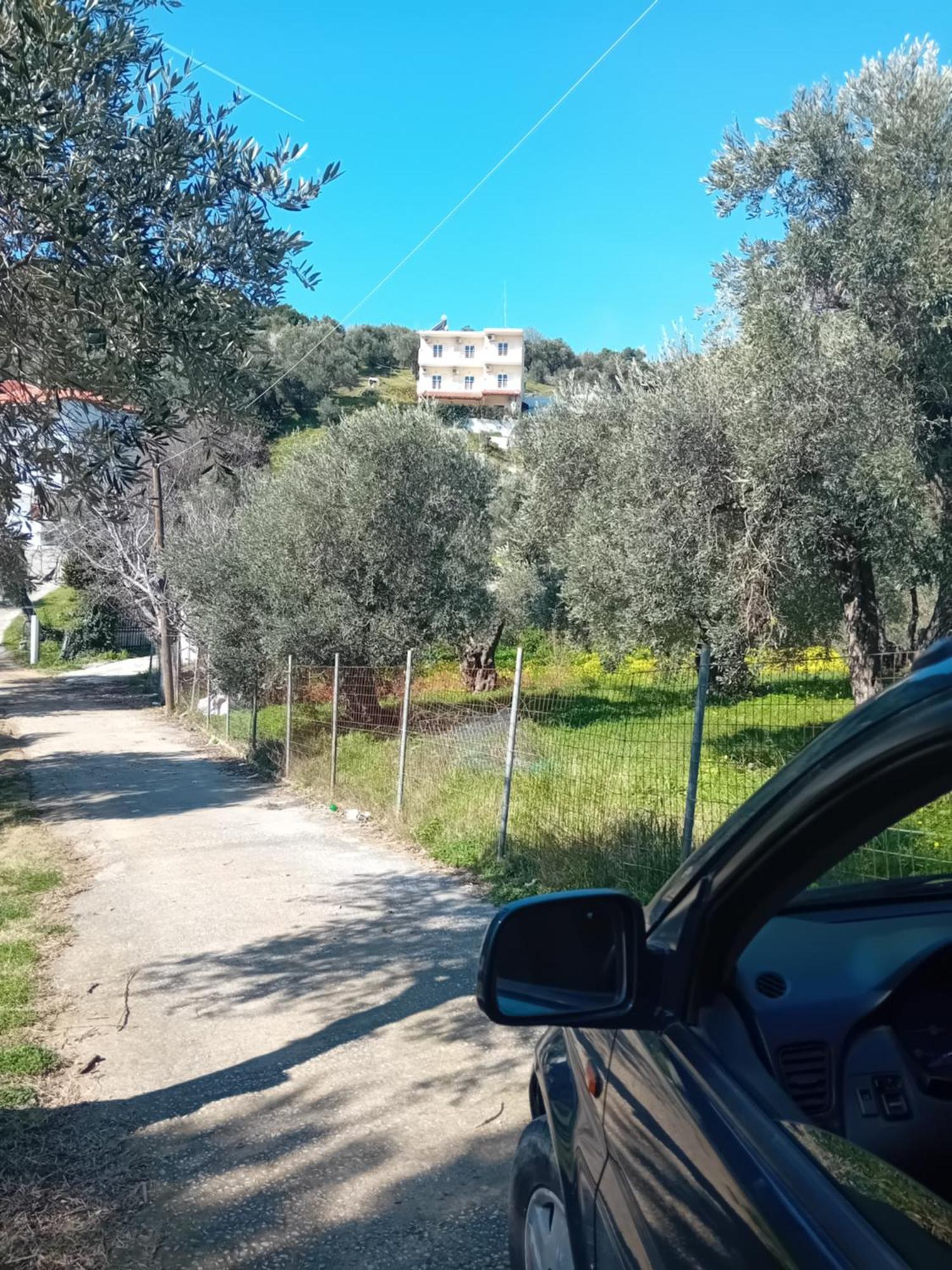 Villa Krini Skiathos Exterior foto