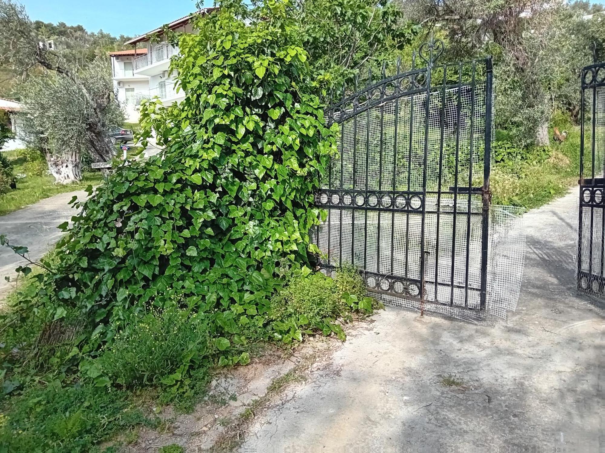 Villa Krini Skiathos Exterior foto